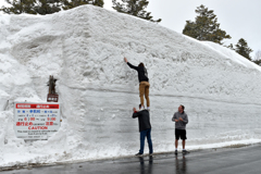 北八甲田山.雪回廊　Ⅱ