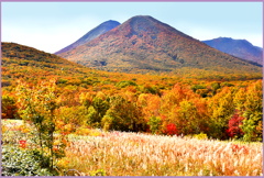 八甲田「雛岳紅葉」