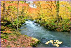 裏石ヶ戸の流れ　2