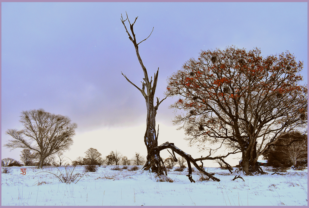 八甲田山.夜明けのバラード
