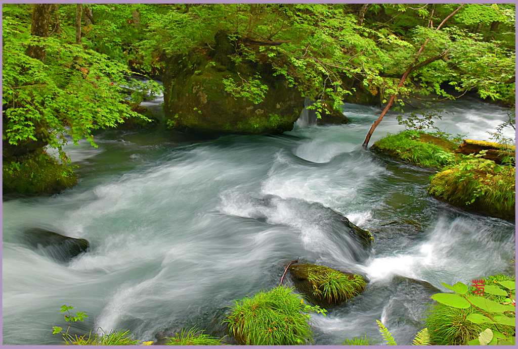 晩夏.奥入瀬怒涛