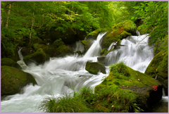 奥入瀬　秋めく.九龍の流れ