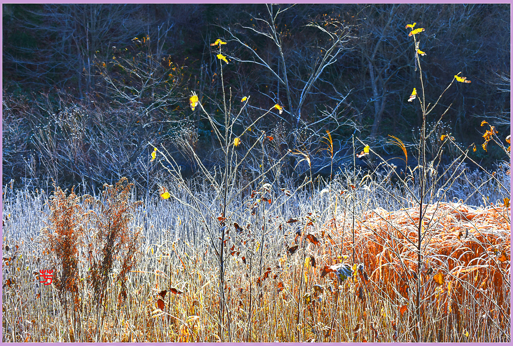 初冬のバラード　3