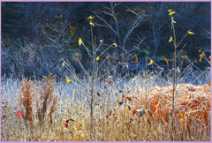 初冬のバラード　3