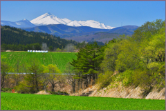 八甲田山「北国の春　八」