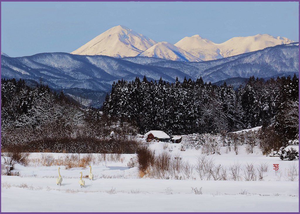 「輝く八甲田山」