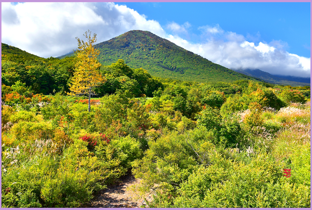 八甲田山.雛岳初秋　2