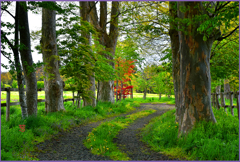 ある　まきばにて