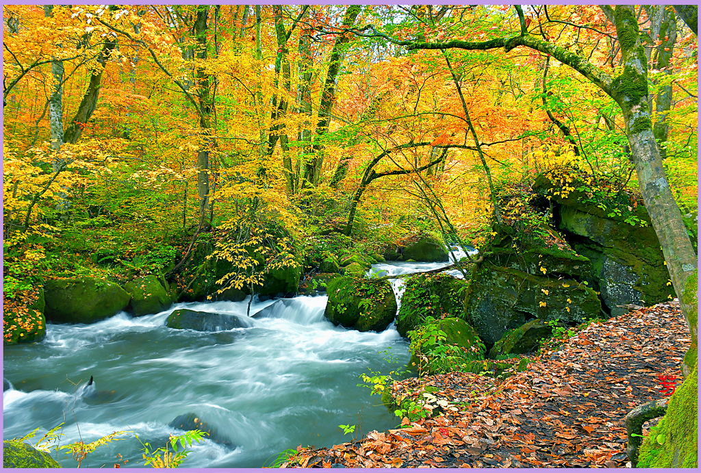 奥入瀬　阿修羅華宴　