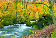 奥入瀬　阿修羅華宴　