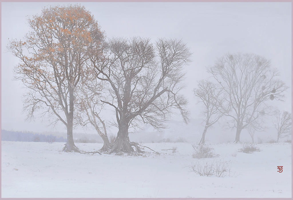 八甲田山.湯の平高原 3
