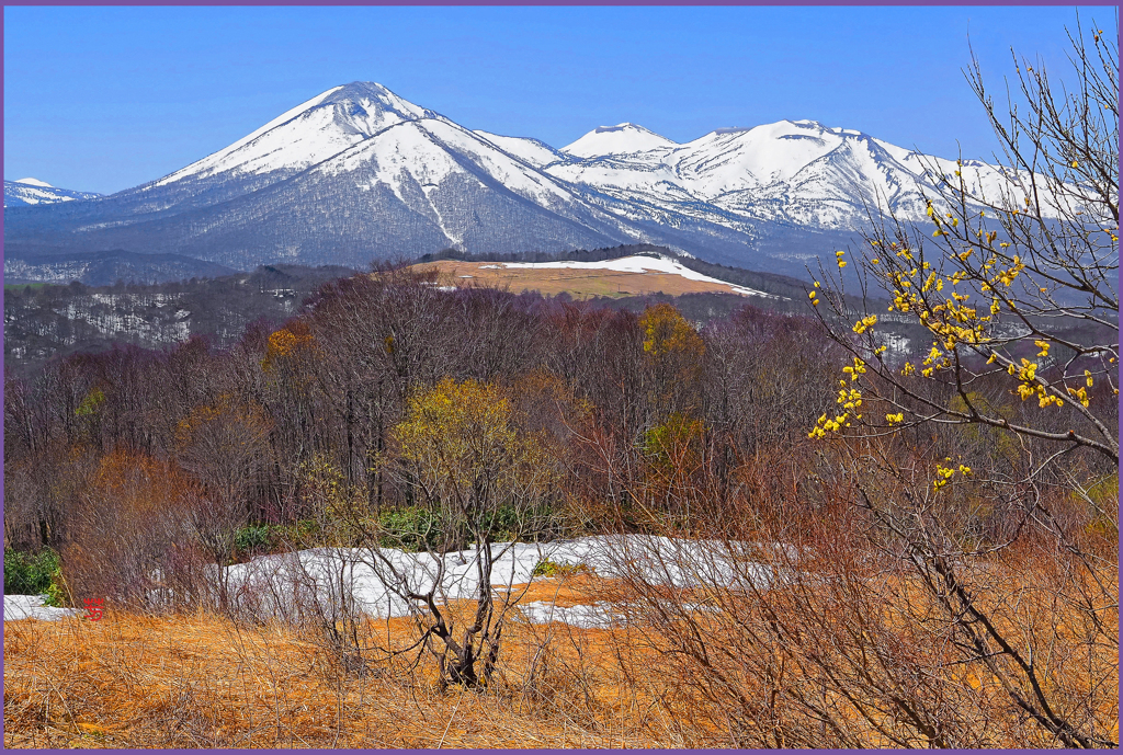 「八甲田山遠望」