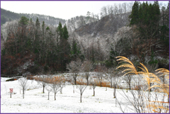 山里枝氷