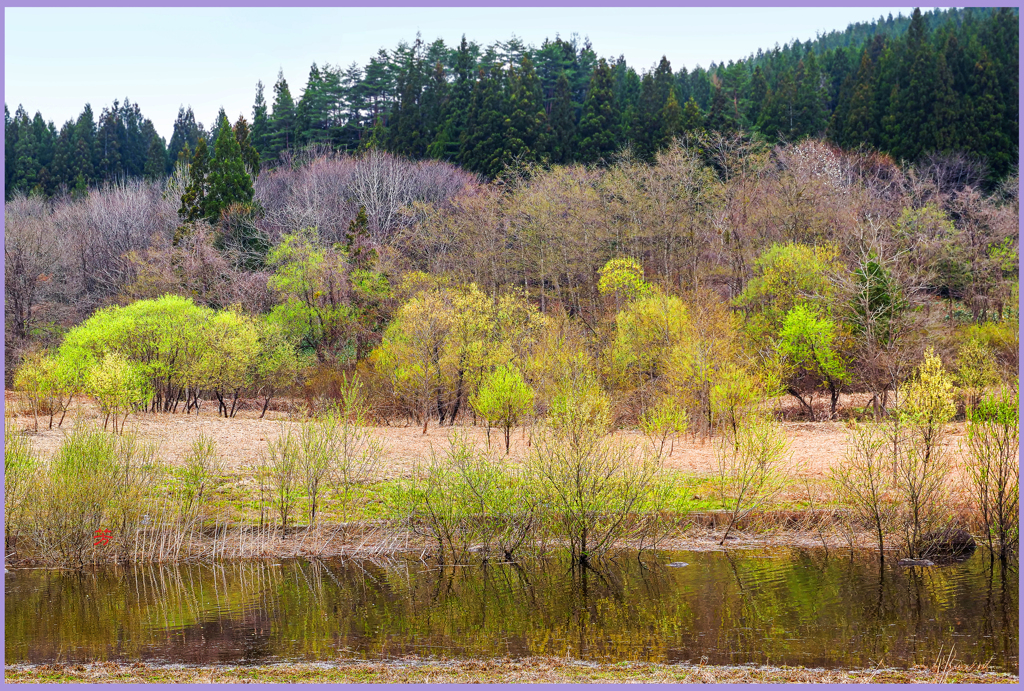 八甲田山隧道「萌黄3」