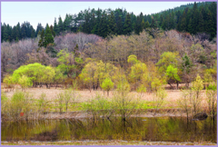 八甲田山隧道「萌黄3」