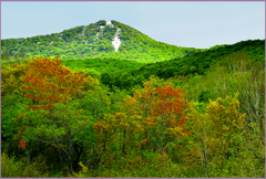 八甲田山　残雪と春紅葉