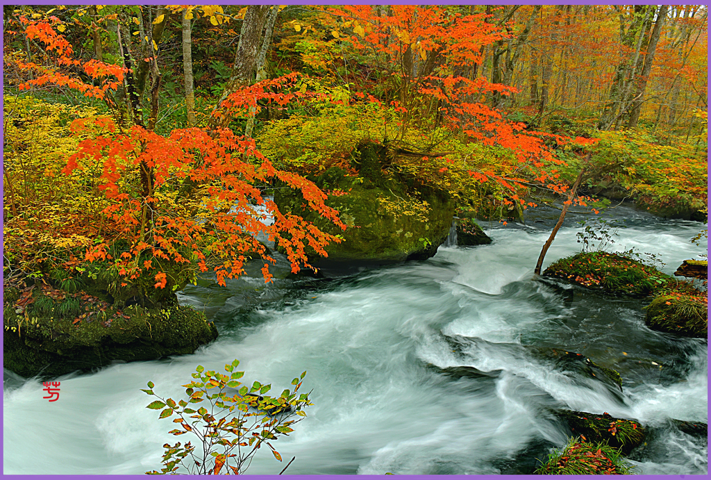 「奥入瀬錦絵図　八」