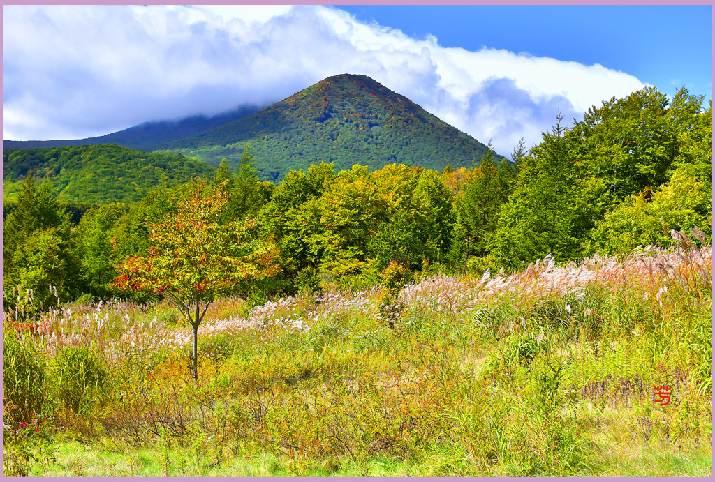 八甲田山.雛岳初秋