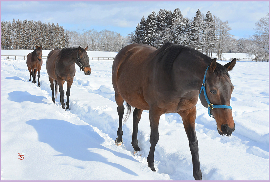 ＠朝トレーニング