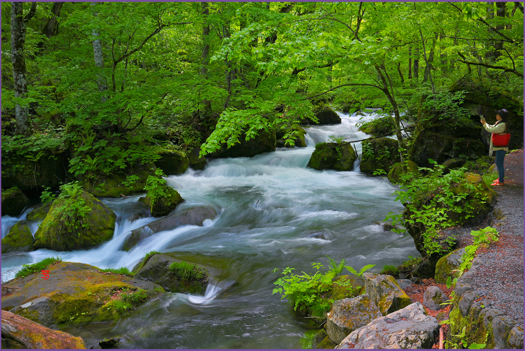 「本阿修羅の流れ」
