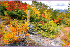 地獄沼.三十三観音街道