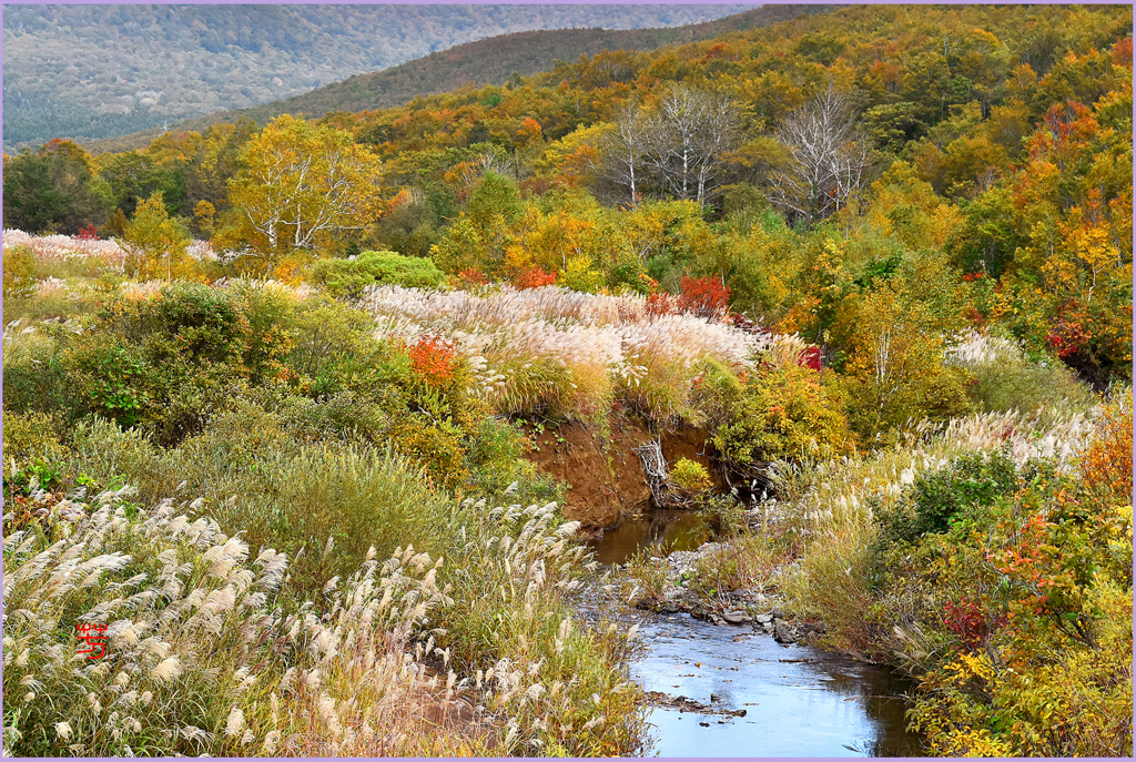 田代平高原（南八甲田山）Ⅲ
