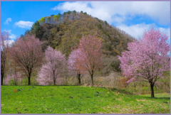 「旧姨捨山」」