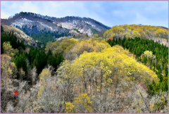 北国の春「残雪と若萌黄」