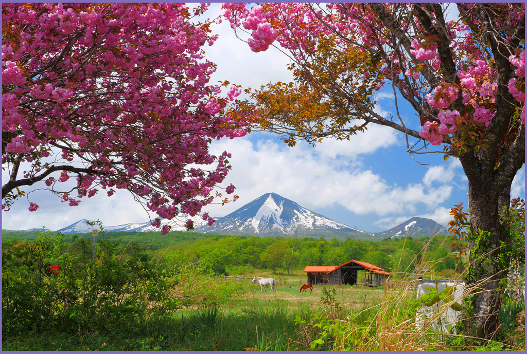 「北八甲田山連峰」