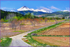 八甲田山寸景「赤土の台地」