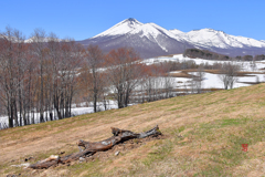 北八甲田残雪　4