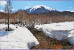 八甲田山.田代平高原「豪雪」