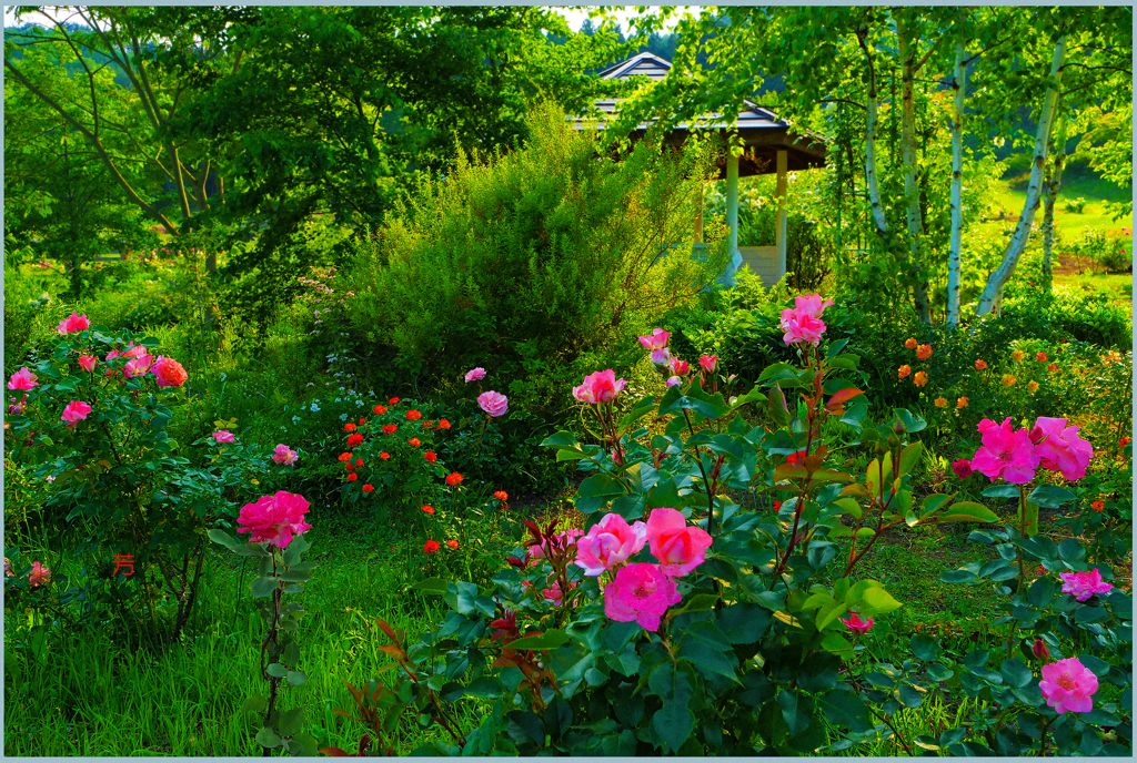 「薔薇の楽園」
