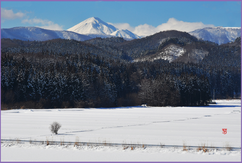 「八甲田山遠望」