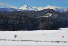 「八甲田山遠望」