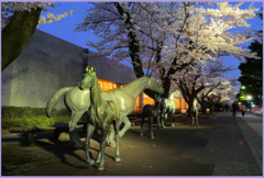 十和田市官庁街「馬と桜3」