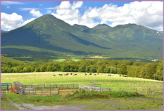 天高く秋忍びぬ