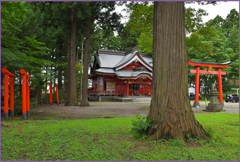 2022 みちのく探訪　十和田稲荷神社「境内大杉」3