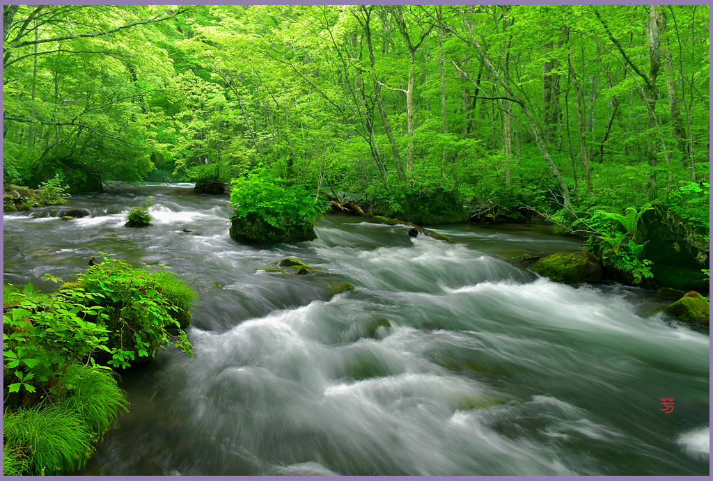 新緑の奥入瀬　Ⅲ