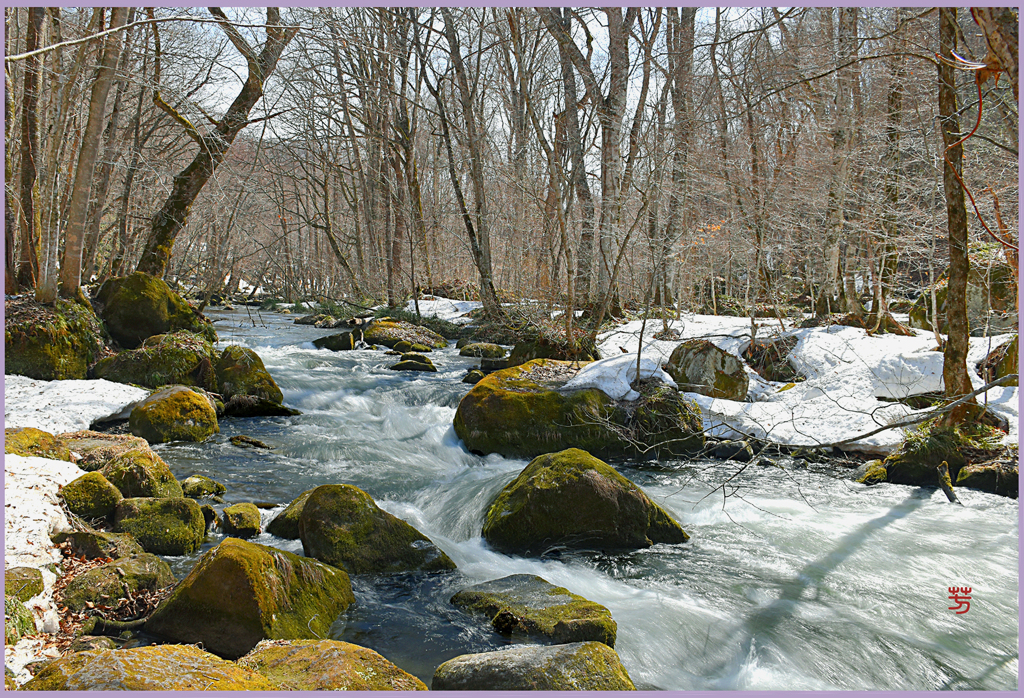残雪.奥入瀬渓流　Ⅱ
