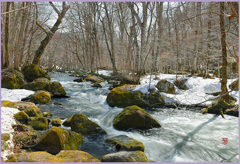 残雪.奥入瀬渓流　Ⅱ