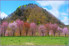 「旧姨捨山 2」