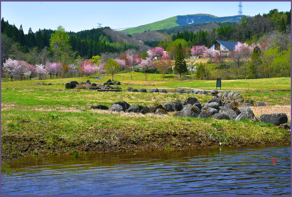 ストーンサークルの春 2