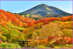 高田大岳