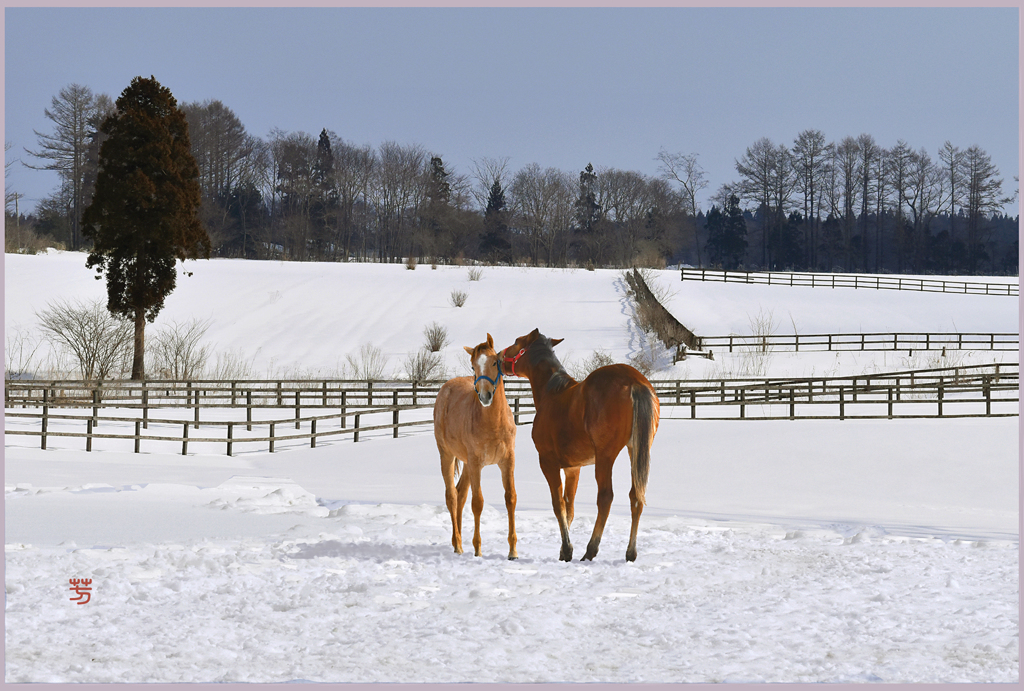 「2019　ファーストキス」