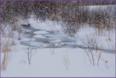 「静かな夜明け」