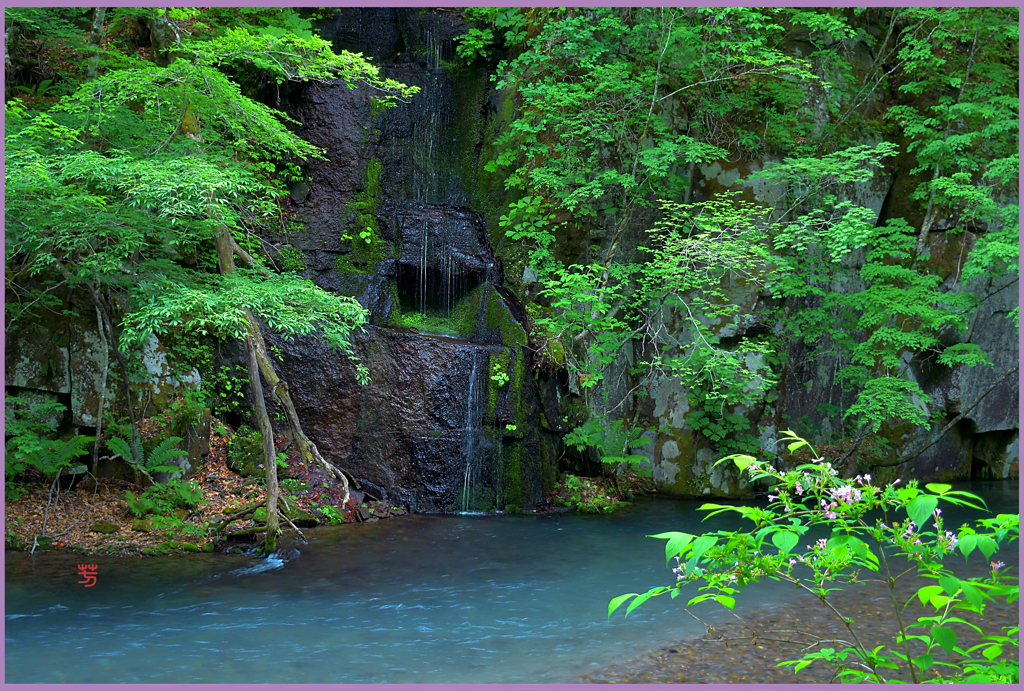 奥入瀬　千筋の滝