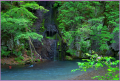 奥入瀬　千筋の滝