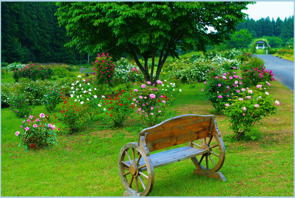 「薔薇の楽園Ⅱ」