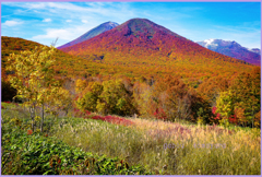 「雛岳大紅葉」 「雛岳大紅葉」